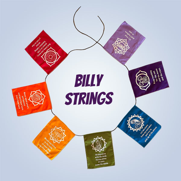 Silk Screened Rainbow Billy Strings Lyric Chakra Prayer Flags - 2 Sizes to Choose From