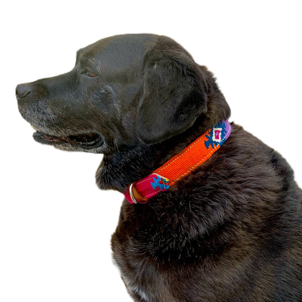 Colorful Hand-Woven Cotton & Leather Dog Collars From Guatemala - XLarge